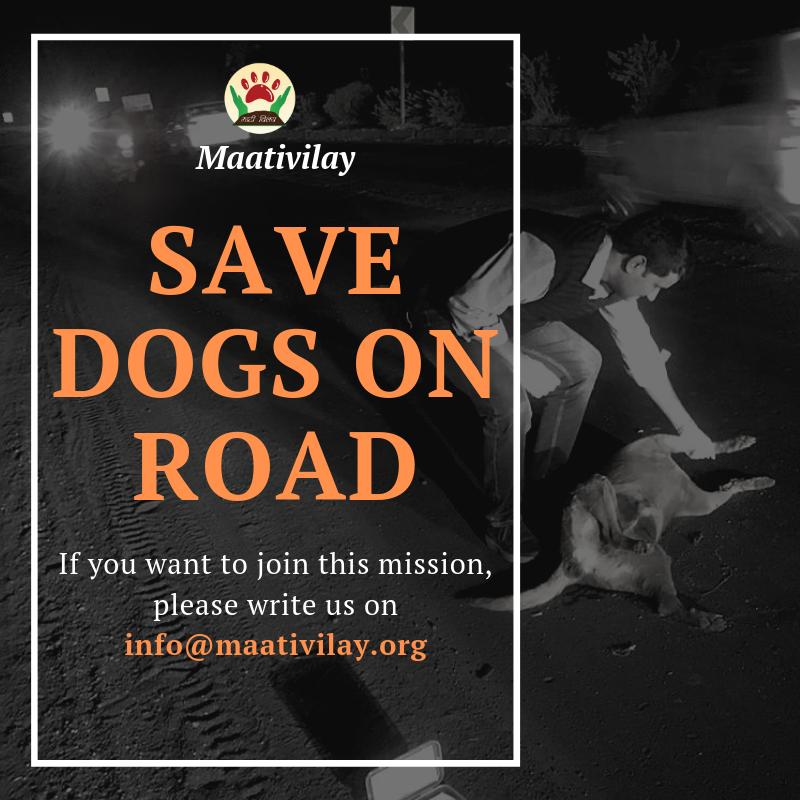 MaatiVilay's tweet image. #Day10
Our mission is dedicated to the day when all living beings are treated with compassion and love.

#Animalprotection #safetyandsecurity #Animalsafety #Animalwelfare #maativilay #Roadsafety #Socialservice #SocialCause