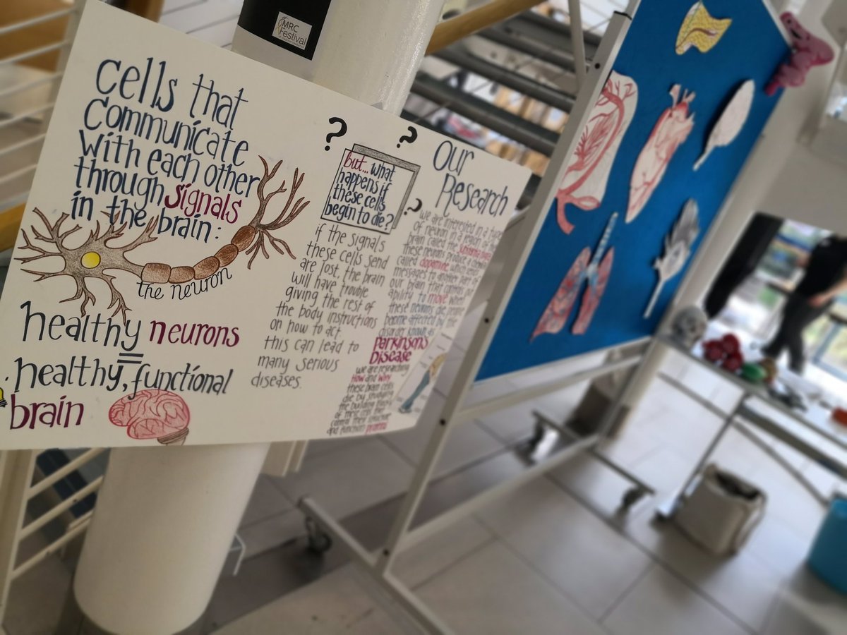 WCAIRDundee's tweet photo. We're excited to be hanging out with @mrcppu and @BaldragonAcad for the #MRCFestival today. @ldbob72 and @LifeSpaceDundee are also involved as per 😄 Lots of folks going on their #ParaSiteSeeing trips! https://t.co/MZ3vKyrmhc