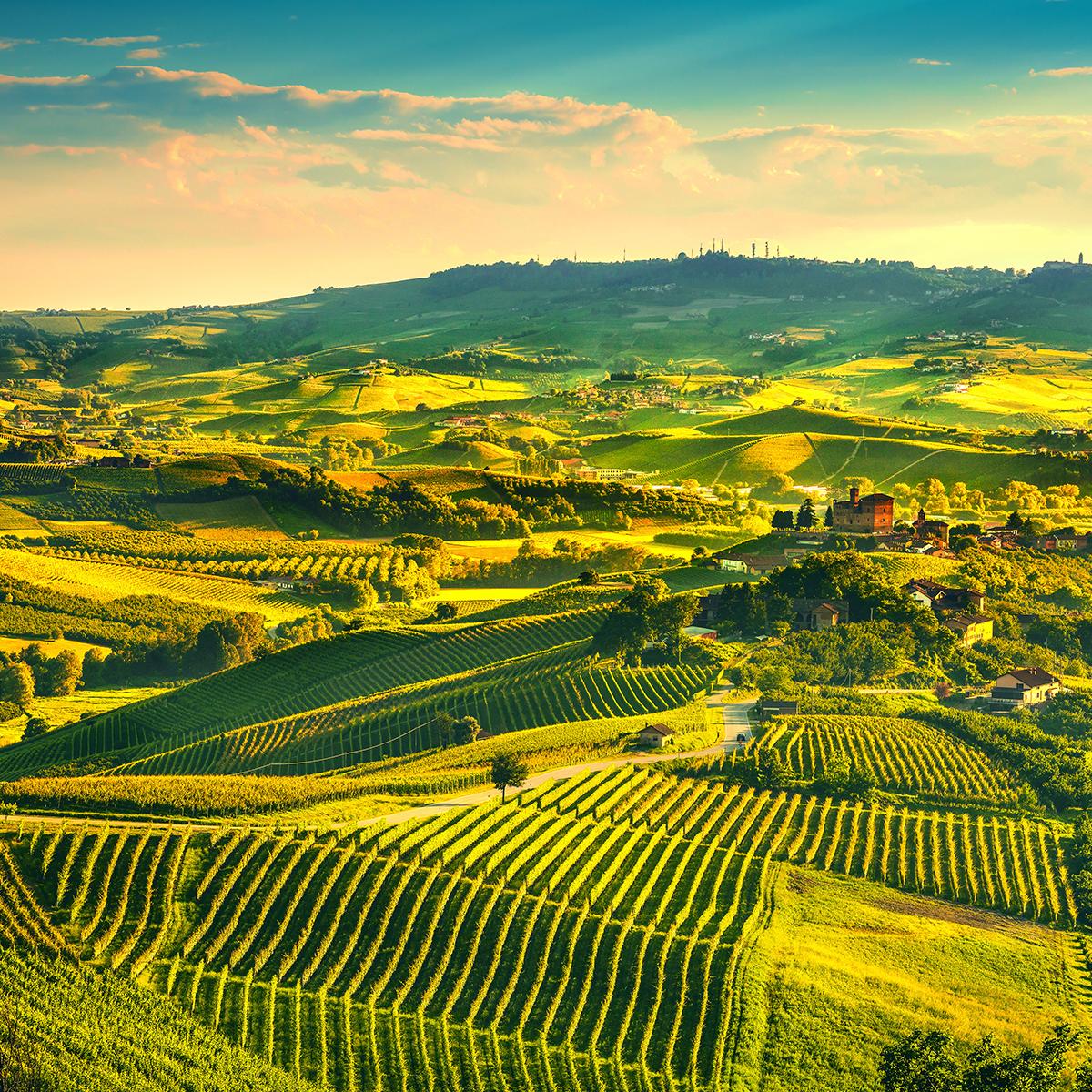 SubaruItalia's tweet photo. Sei pronto a vivere un’esperienza unica tra le colline delle #Langhe? Percorsi #enogastronomici, #paesaggi indimenticabili e #relax in hotel per un week-end davvero FUN. Iscriviti all’evento #Subaru4Fun e preparati a partire con noi il 22 e 23 giugno: https://t.co/VEL2j2CmyQ https://t.co/iUMkqjtjQ7