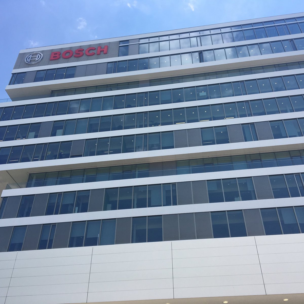 Kelly Daize tweet media