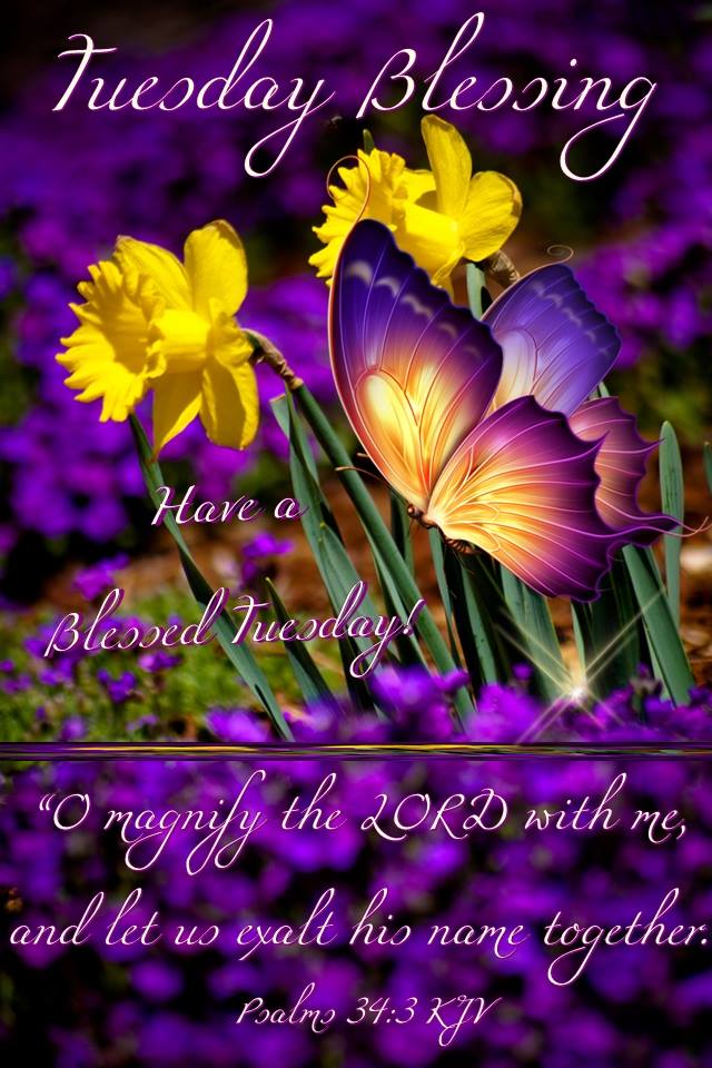 Blessed Tuesday Morning Images His Cornerstone, Llc On Twitter: "Good Morning, Happy Tuesday, I Pray That  You Have A Safe And Blessed Day!! Https://T.co/9Nalitsiqx" / Twitter