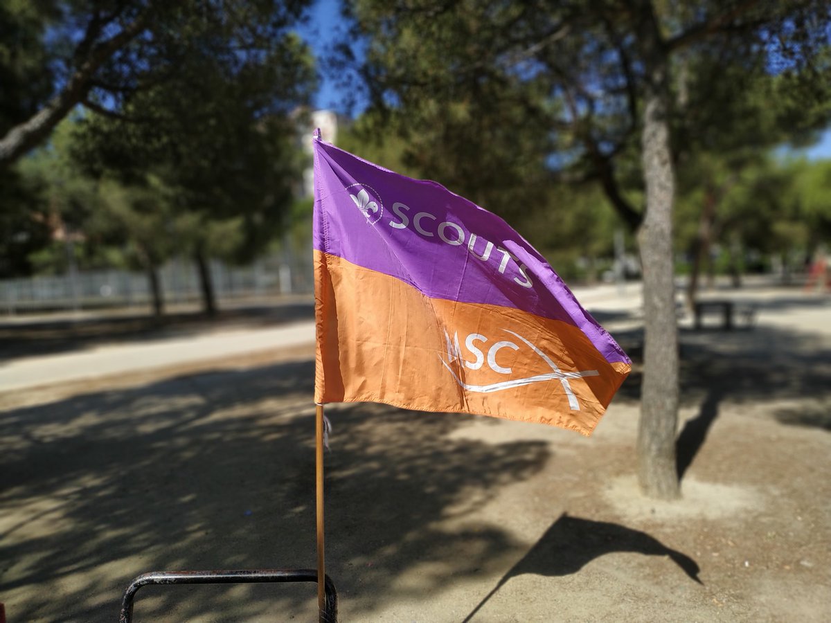 trinitariosM's tweet photo. WorkShop dedicado al Escultismo. Hoy juegos, un taller sobre la contaminación en las hojas de los árboles de nuestra zona y también investigamos sobre las catástrofes naturales. @centrosfest
@scoutsdemadridmsc @scoutsmsc
#somosfamilia
#psmma https://t.co/9p9rxaile3