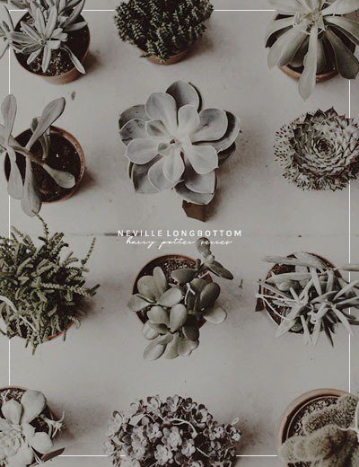 donettesemuda's tweet image. »»———— 𝐁𝐢𝐭𝐚́𝐜𝐨𝐫𝐚 𝐄𝐬𝐩𝐞𝐜𝐢𝐚𝐥𝐢𝐝𝐚𝐝 𝐝𝐞 𝐇𝐞𝐫𝐛𝐨𝐥𝐨𝐠𝐢́𝐚. ———-««

       ✧ 𝖠𝗅𝗎𝗆𝗇𝗈 𝖭𝖾𝗏𝗂𝗅𝗅𝖾 𝖷𝖺𝗏𝗂𝖾𝗋 𝖫𝗈𝗇𝗀𝖻𝗈𝗍𝗍𝗈𝗆 𝖯𝗋𝗂𝗇𝖼𝖾.