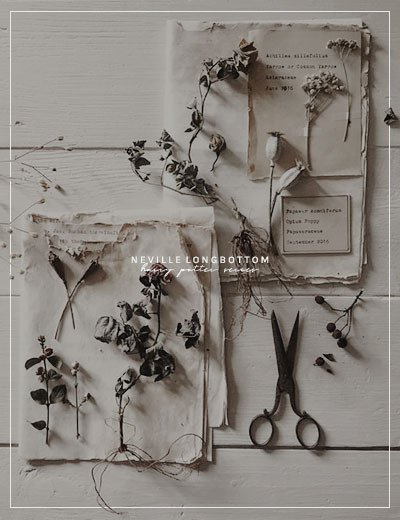 donettesemuda's tweet image. »»———— 𝐁𝐢𝐭𝐚́𝐜𝐨𝐫𝐚 𝐄𝐬𝐩𝐞𝐜𝐢𝐚𝐥𝐢𝐝𝐚𝐝 𝐝𝐞 𝐇𝐞𝐫𝐛𝐨𝐥𝐨𝐠𝐢́𝐚. ———-««

       ✧ 𝖠𝗅𝗎𝗆𝗇𝗈 𝖭𝖾𝗏𝗂𝗅𝗅𝖾 𝖷𝖺𝗏𝗂𝖾𝗋 𝖫𝗈𝗇𝗀𝖻𝗈𝗍𝗍𝗈𝗆 𝖯𝗋𝗂𝗇𝖼𝖾.