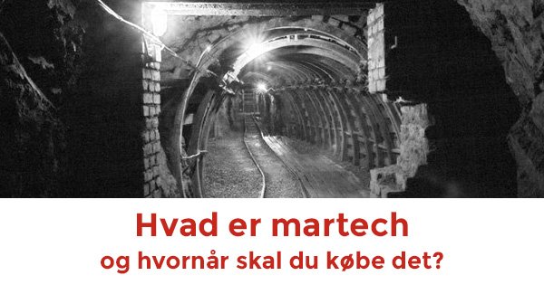 Avidly Danmark tweet media