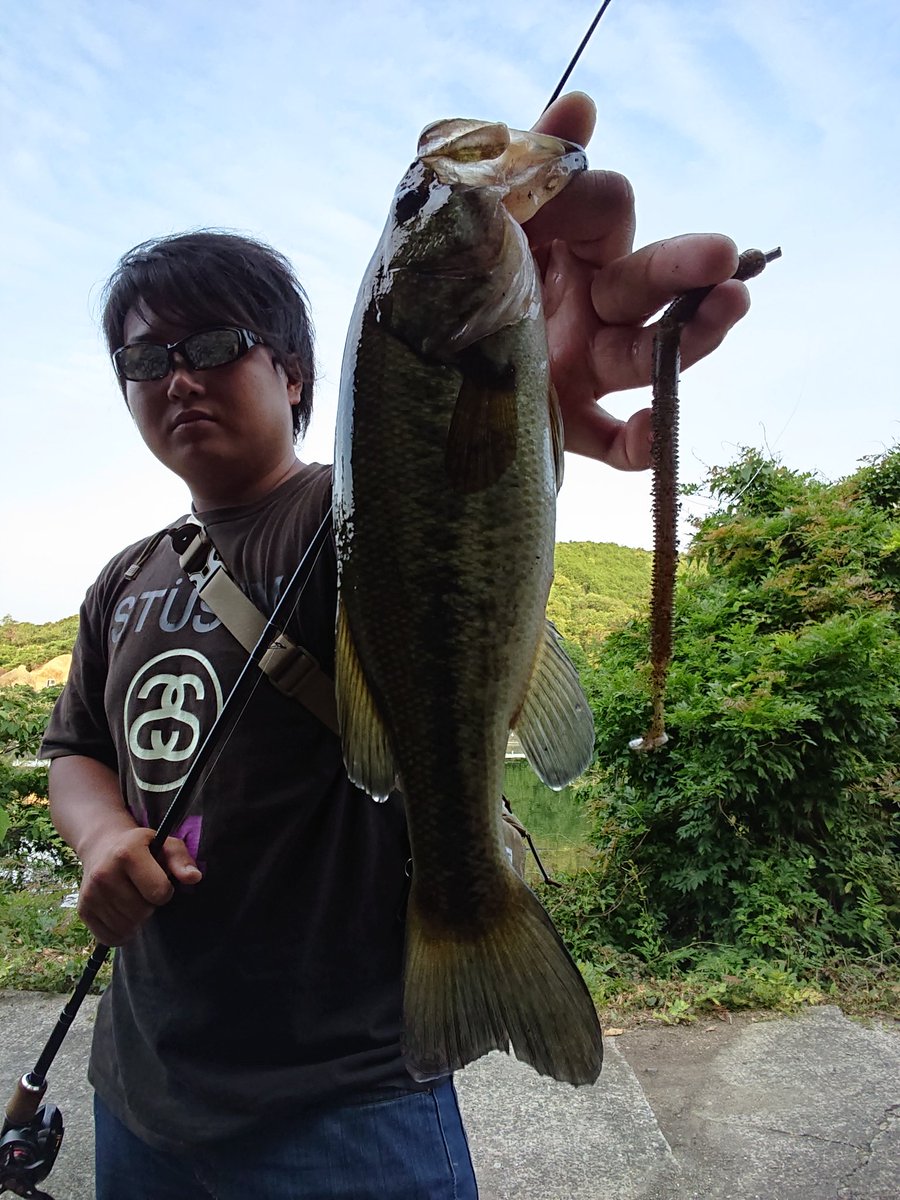 スナッグレスネコ スナッグレスネコ