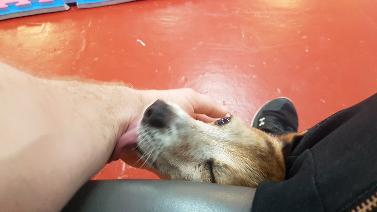 Stuart Boother tweet media