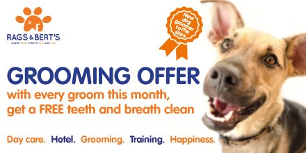 Got a bit wet and wild this weekend? 
Book your grooming appointment now &amp; get a FREE teeth cleaning and fresh breath foam treatment. Good dental hygiene is essential for your dog's health, get it for FREE this month! Call now to book 0118 207 7788 or bookings@ragsandberts.co.uk