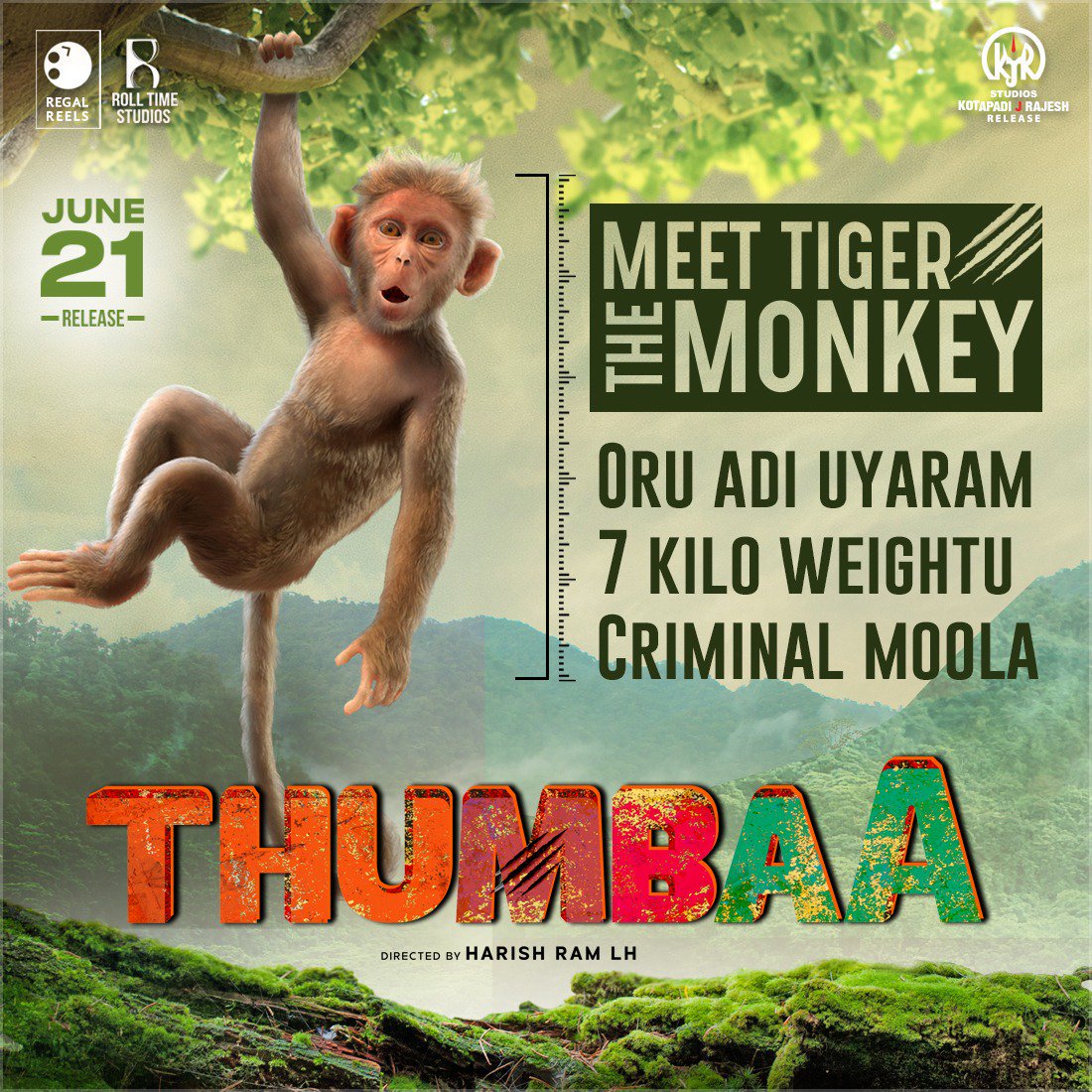 OnlyKollywood's tweet photo. Height 1 feet. Weight 7kgs. And a criminal brain! The prankster monkey aka tiger is coming to amuse you from this Friday, June 21st.
#Thumbaa #Thumbaa3DaysToGo #ThumbaaFromJune21 @harishramlh @Darshan_Offl @ikeerthipandian @ActDheena @kjr_studios https://t.co/6l3E7OIhwG