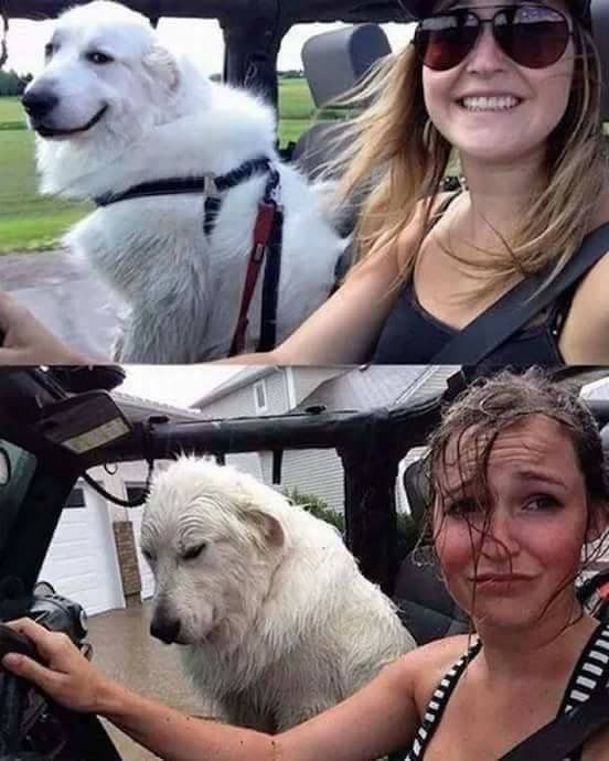 Not a fan of all this rain. 😂🤣 #ord