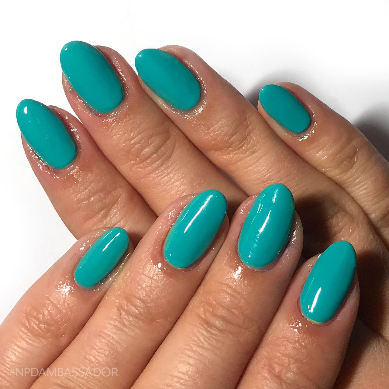 Nail Polish Direct™ on Twitter: "Aqua green nails are a Summer vibe 🌊 Shop  the shade: https://t.co/PPAmkANR9A 'Aquaholic' from the 2019 Cuccio  'Heatwave' Collection, swatched by #NPDAmbassador @thenailphileuk 💅  #cuccioheatwave https://t.co/nqN6Ue0qur" /