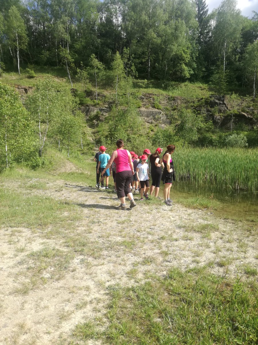 IPistkova's tweet photo. We learnt about fantastic anímals in school in nature https://t.co/LBEoYWsW13