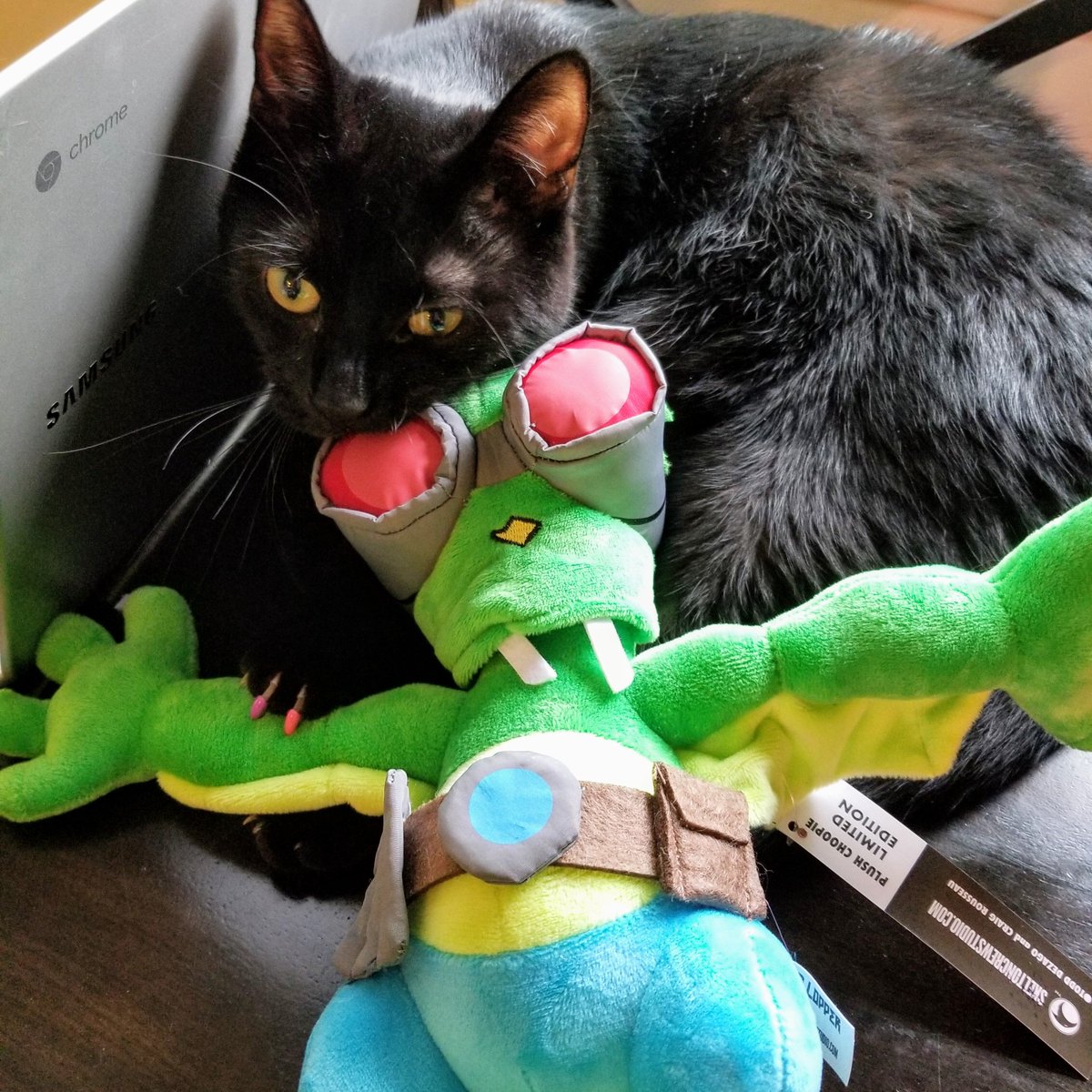 SkeltonCrew's tweet photo. Ready for adventure (and delicious, apparently) AND 50 % OFF!
Our #Choopie plush is from Todd Dezago and @craigrousseau super fun and striking #ThePerhapanauts.
👽 https://t.co/924h6R6J9q 👽 https://t.co/j9GY6VSrwU