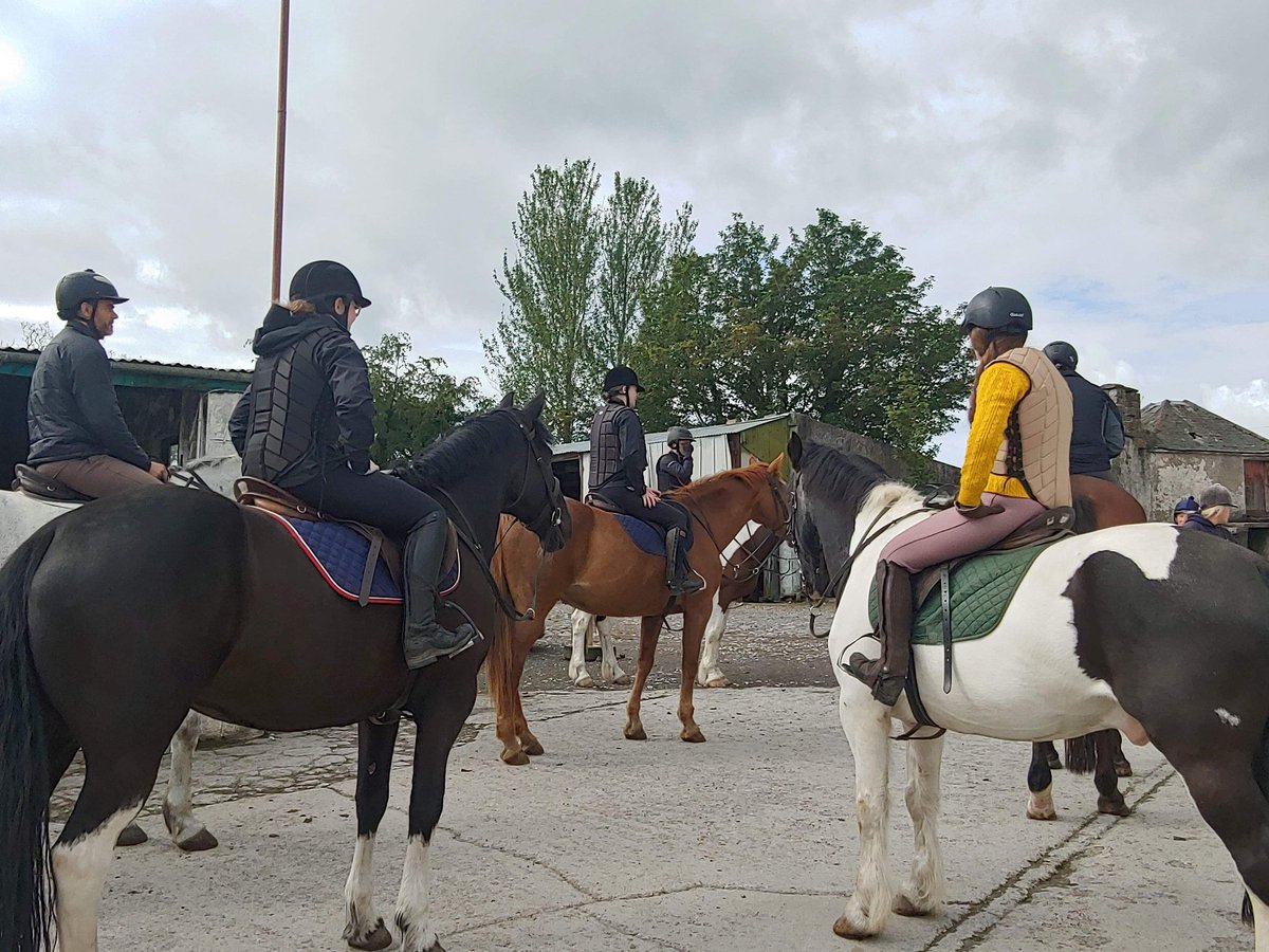 VisitPortumna's tweet photo. This is what it is all about.
"Flying home today.
Ireland was fantastic.
Loved Portumna.
Mary and PJ at Oak Lodge B&B were like family.
Perfect accommodation.
#PortumnaCastle & @IrishWorkhouseC were amazing.
Heard great trad in #CurleysBar .....https://t.co/jYDf7UOFNU https://t.co/NUd8s9MAaq