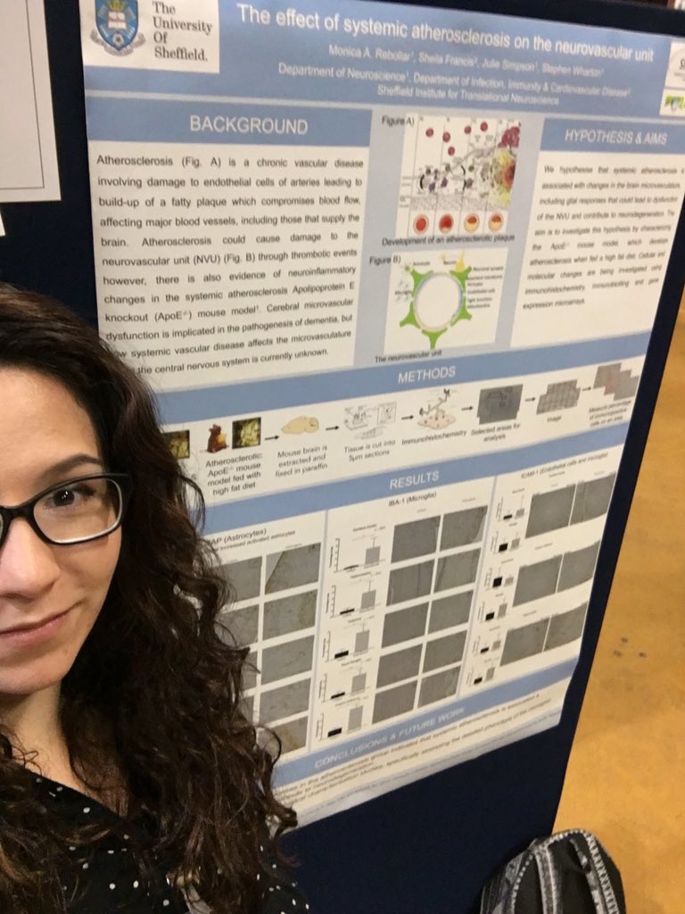 ale_monrebollar's tweet photo. Excited to present my poster at #SRM2019 if you would like to learn more about atherosclerosis and it’s effect on the neurovascular unit visit my poster (no.88) https://t.co/HxXeRJxeFS