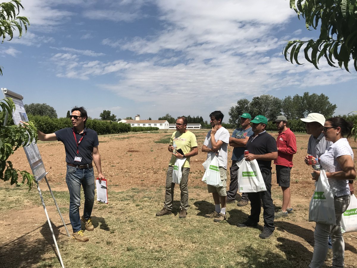 irtacat's tweet photo. L' @EstanisTorres presenta l'Estació Experimental de #Gimenells, els resultats del projecte #JustFruit sobre l’#aclarida mecànica de flors en #presseguer.
#TransferènciaIRTA
#demosdarp https://t.co/zd8MyxtxhQ