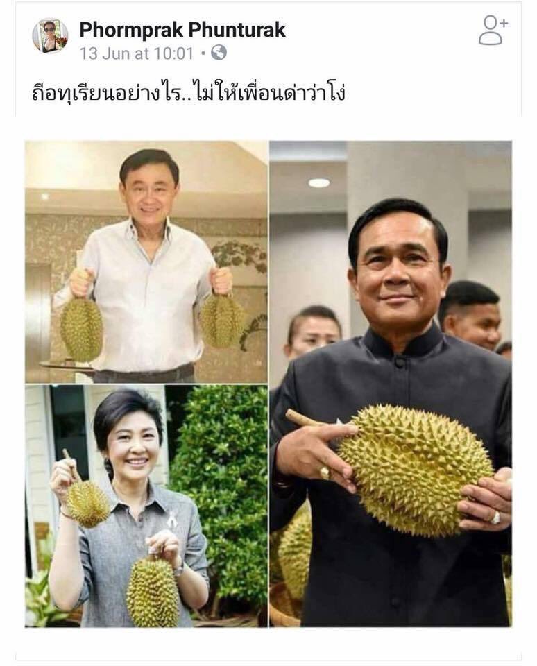 CJP9539's tweet photo. บอกเลยครับว่าไม่มีวัวผสม #RIPThailand https://t.co/8rJzEYvv4u