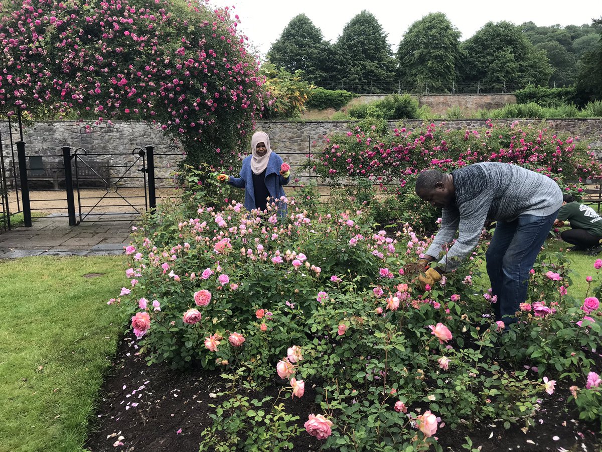 123_M_K's tweet photo. Spent this morning with @BristolCouncil at Ashton court volunteer rose gardening with @ACHintegrates tenants as part of Wellbeing Programme funded by Originators Fund. Thank you! https://t.co/rd8VD2VFhI