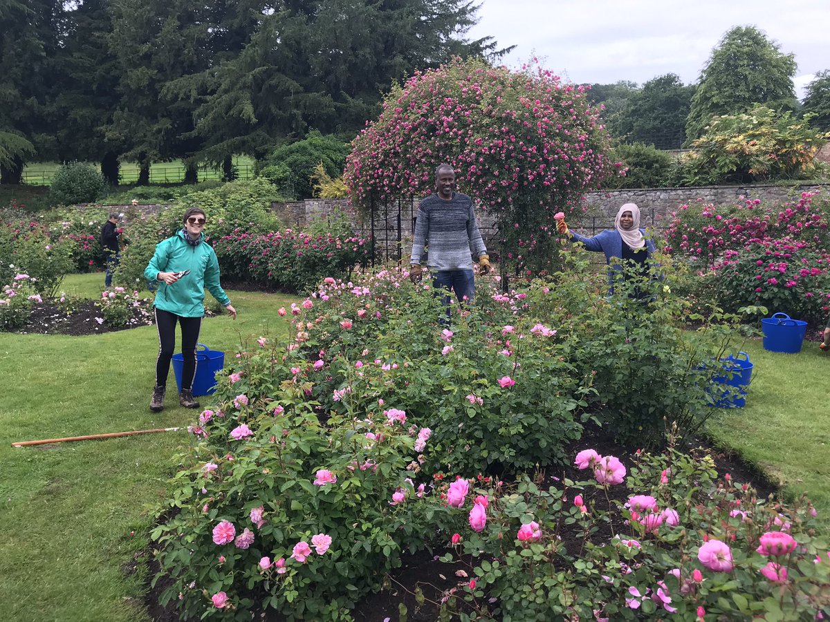 123_M_K's tweet photo. Spent this morning with @BristolCouncil at Ashton court volunteer rose gardening with @ACHintegrates tenants as part of Wellbeing Programme funded by Originators Fund. Thank you! https://t.co/rd8VD2VFhI