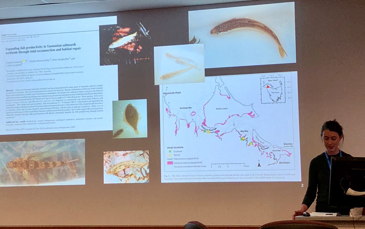 vishnu_prahalad's tweet photo. Strong and diverse contributions from @UTAS_ and #Tasmania today on #SaltmarshMatters at the #AMSN2019 with talks by PhD candidates John Aalders on #BlueCarbon, Violet Harrison-Day on #fisheries and Inger Visby from the Derwent Estuary Program on baseline monitoring &amp; management https://t.co/FF5t8hyMD1