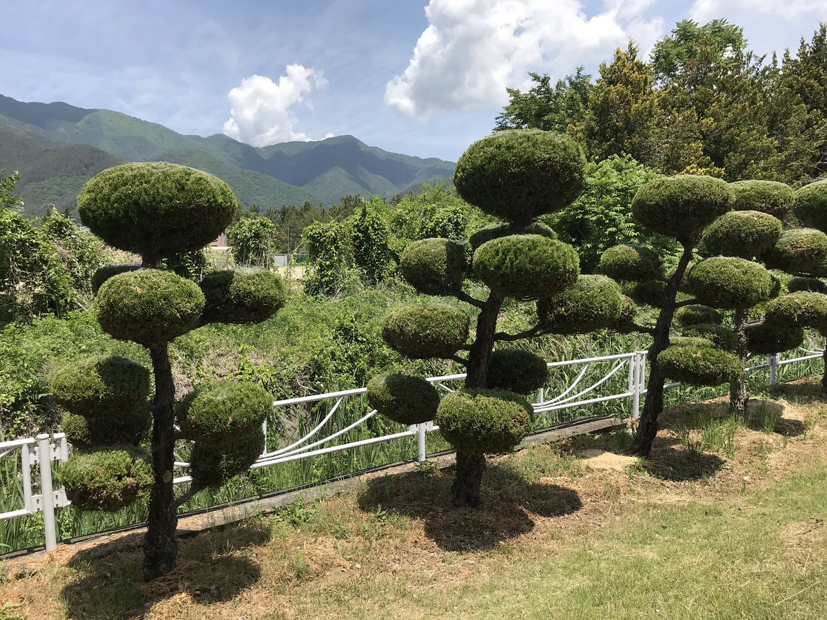 lucyempson's tweet image. Beautiful Mount Fuji and really a Room with a View #cloudpruning #mountfuji #roomwithaview