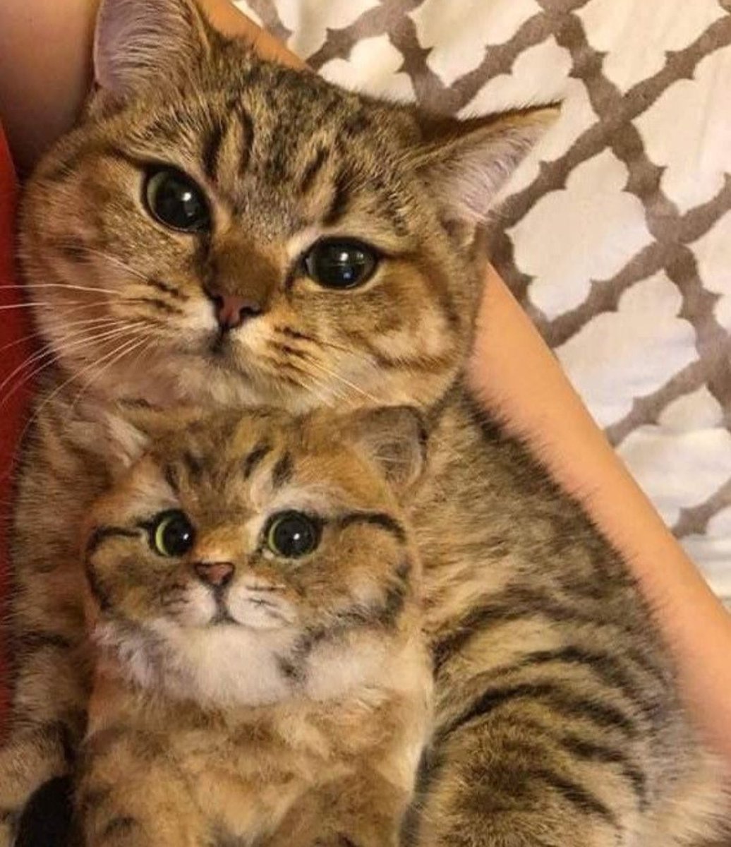 이거 라이관린 (@this_is_kuanlin) on Twitter photo 