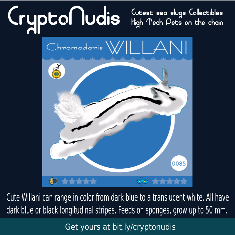 Cute Willani can range in color from dark blue to a translucent white. All have
 dark blue or black longitudinal stripes. Feeds on sponges, grow up to 50 mm. 
check it out at 
opensea.io/assets/0x48718…

#cryptocollectbiles #seaslugs #augmentedreality #smartpets