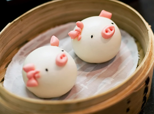 4/ And to everyone on CT drowning in Libra commentary, here is a pic of a really cute steamed bun