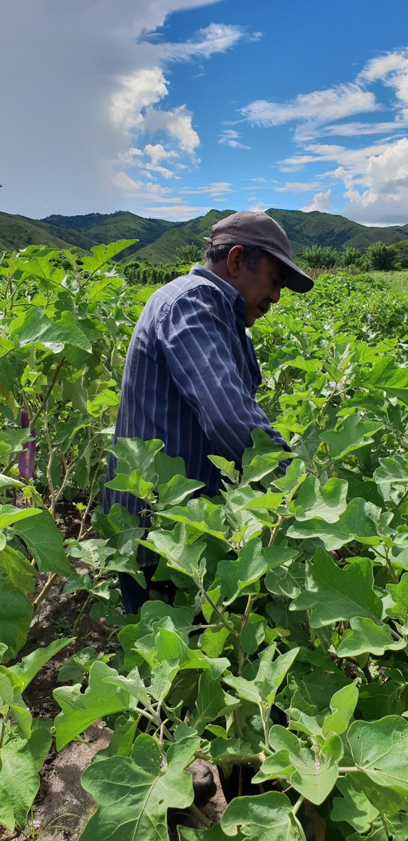 GRCKent's tweet photo. The winners of the ReCapture Photographic Competition are:
1st Prize
"We used to grow sugar cane"
Bhokraj Gurung
#ReCapture #PGCommunity #Research #KentResearch https://t.co/QA66lQpdKq