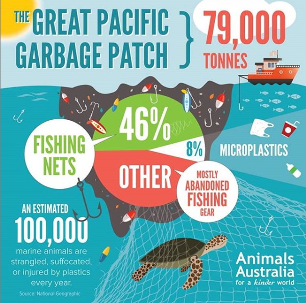 letfishlive's tweet image. The most effective thing you can do to help #sealife is to stop eating them. (via @animalsaus) #animalrights
