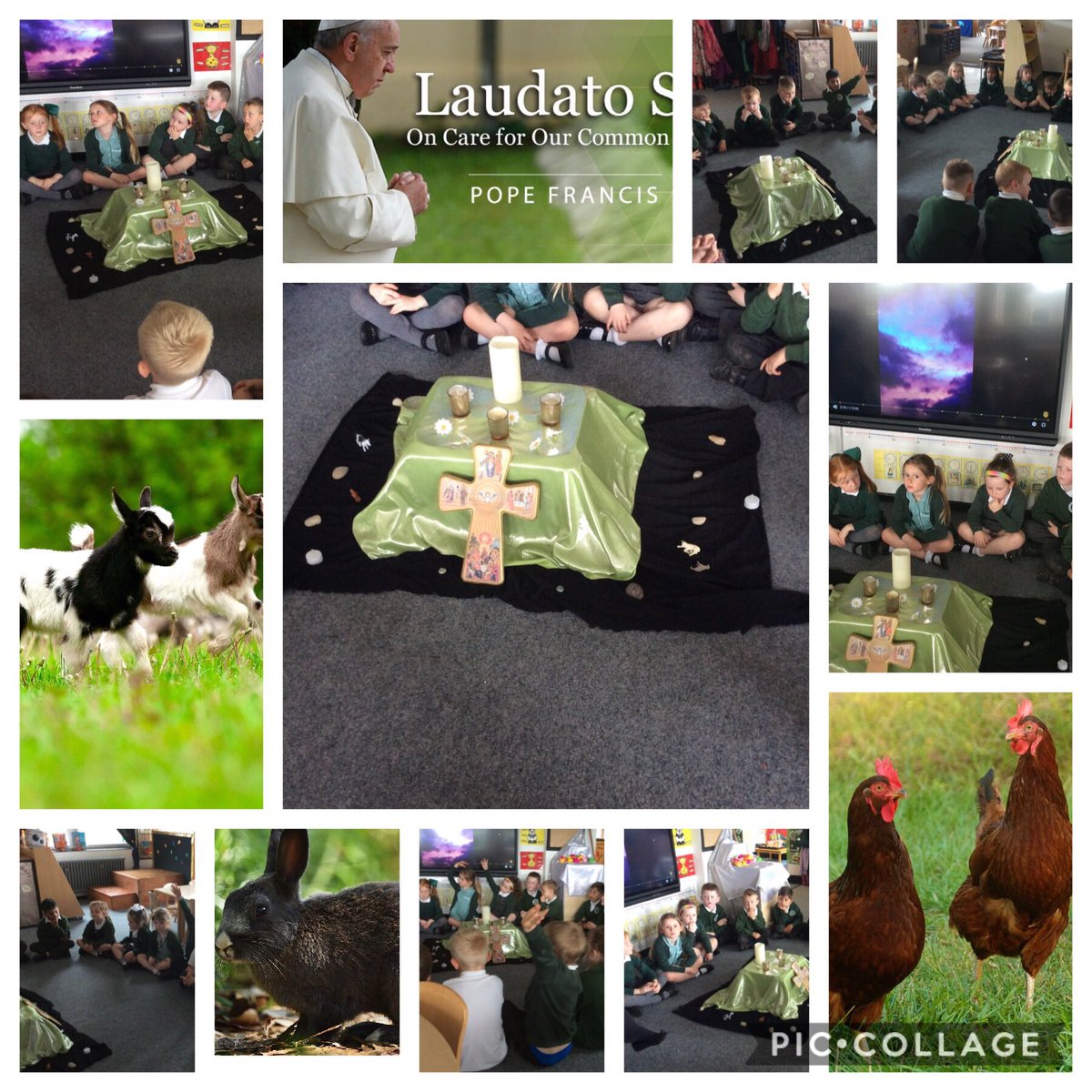 MissAPurdy's tweet photo. Reception have been talking about looking after our beautiful farm animals this afternoon. We have been reflecting during a calm and prayerful collective worship. #SJSBRE #LaudatoSi @StJosephStBede 🐇🐓🐐 https://t.co/FYhaVwy9m4