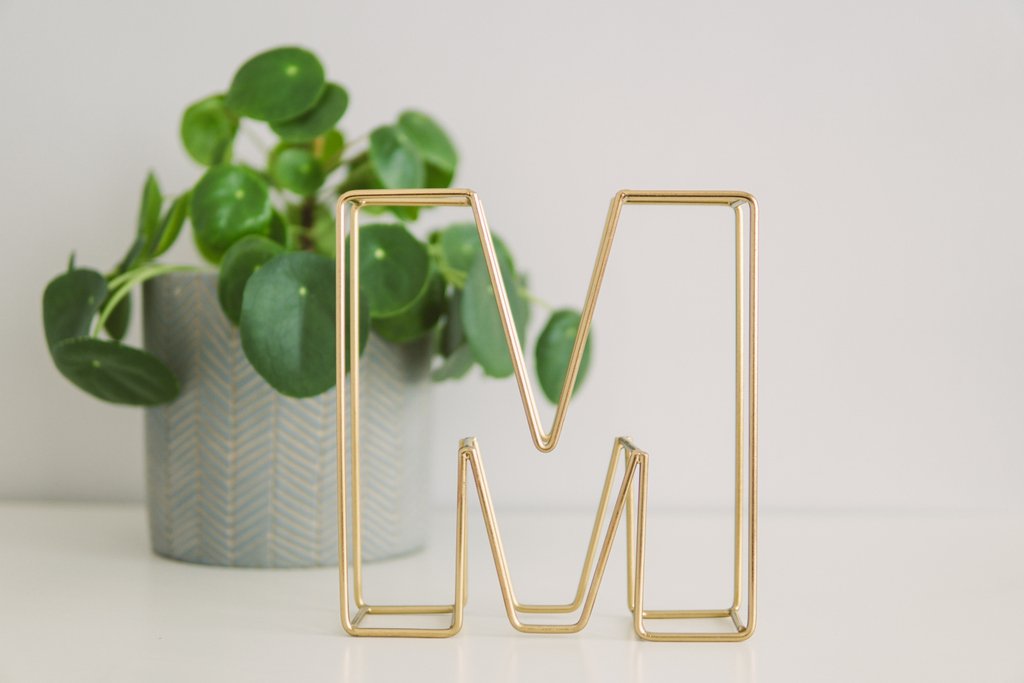 mtm_kuleuven's tweet photo. Clean the air in your office: get a plant & support a good cause! To buy one, contact Piet Wostyn 👉https://t.co/oSYnYjw7oI #mtmkuleuven #materialsengineering #kuleuven #materialsforabetterworld #leuven #healthyoffice #rikolto #vredeseilanden https://t.co/hMxbb3EVWc