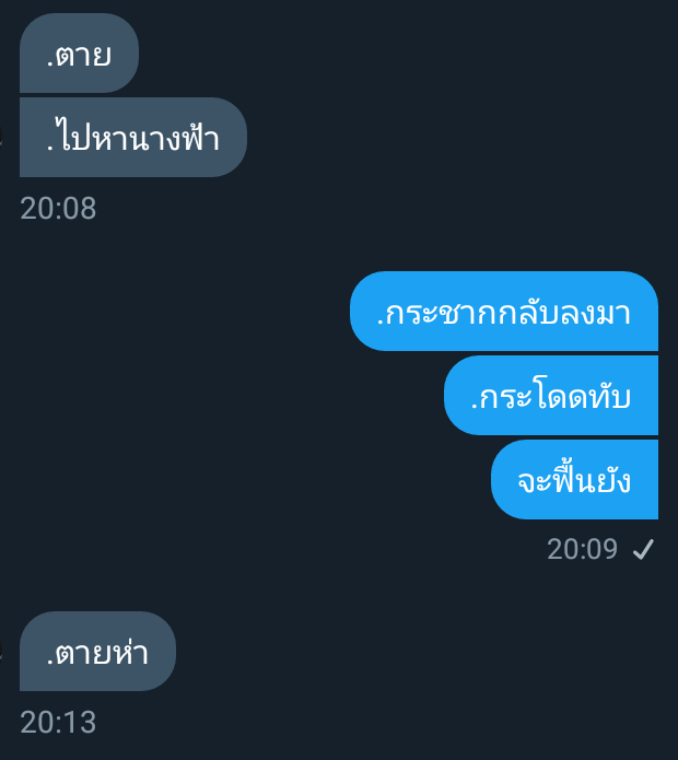แมวจะมาขิง tweet media