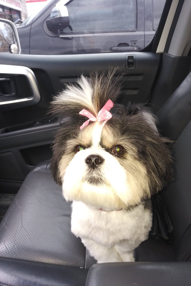 DesignerGirl1's tweet photo. @LiveKellyRyan our Tia! https://t.co/WecuDEgpGJ