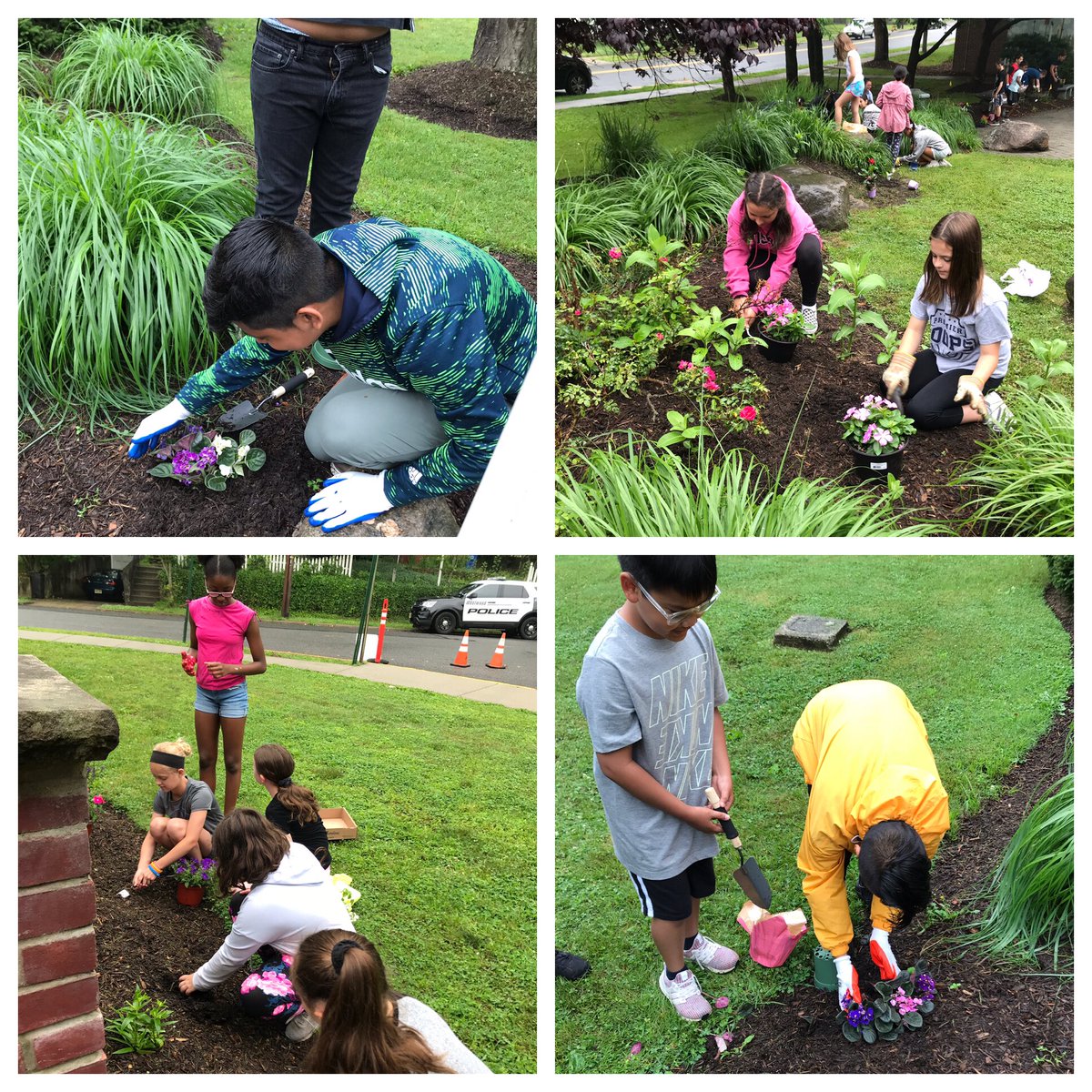 BinderLansey5's tweet photo. Beautifying the habitat to prepare for the clap out! See you all at 12:15pm on Thursday! @BinderSabbagh5 @BerkeleyWWRSD 💐 🌸 🌺 https://t.co/64inLh8ZYG