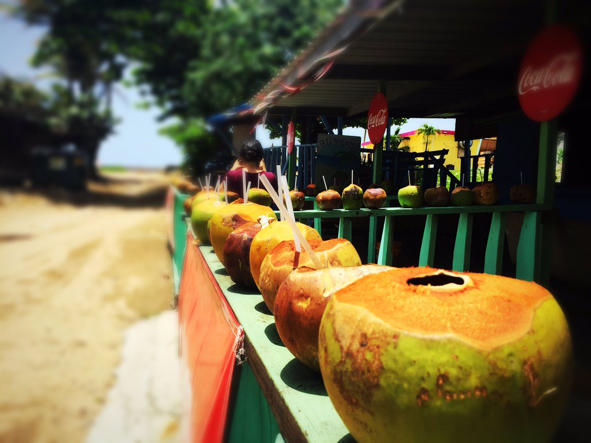 JosueHdez75's tweet photo. Pa’l calor... #aguadecoco🌴 #coco #coconut #coconutwater #pinones #piñonespuertorico #loíza #carolina #verano2019 #summer2019 #PuertoRico #turismo #tourism #natural https://t.co/wktrxNgFBt