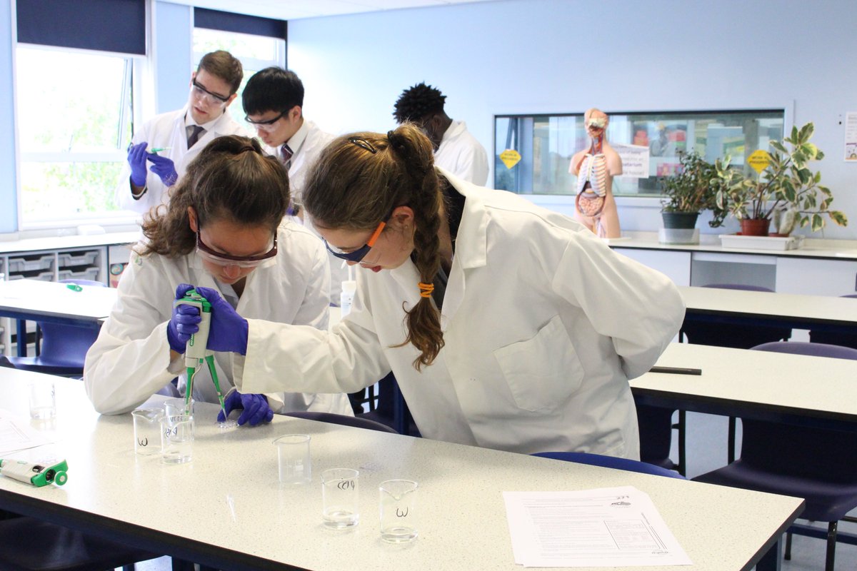 In #Biology today, our #SixthFormers carried out an 'ELISA' test - commonly used in research labs to detect the presence of HIV, tuberculosis and hepatitis. Our pupils used a simulation kit to detect HIV using advanced #micropippetting techniques. #WycliffeScience #STEM