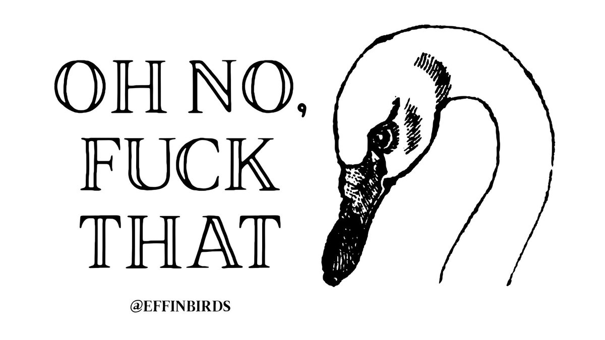 EffinBirds's tweet photo. Facebook currency https://t.co/9AcmoXYEtg