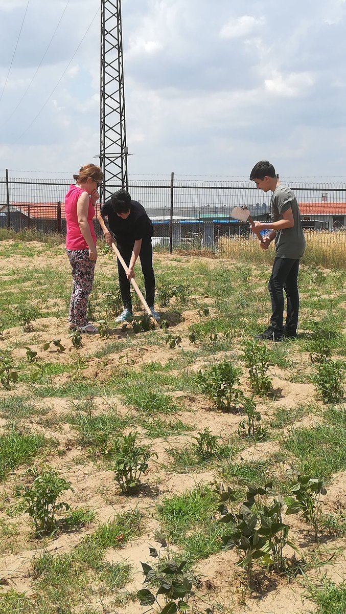 Burçak ve oğulları