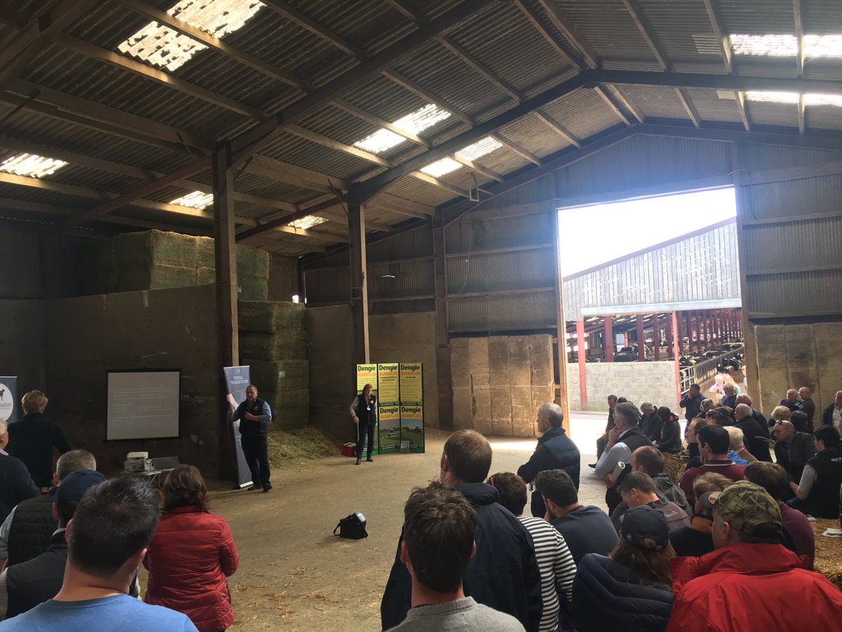 TomoSelby's tweet photo. @HefinR @theRABDF @KWfeeds @ruminantpremier @HefinR in action earlier today https://t.co/qR5EOPGhQx