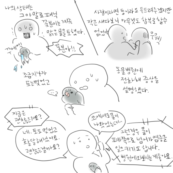 토가 멎었다, 기운을 차렸다고해도 안심해서는 안됩니다. 물이 폐로 들어가면 염증을 일으키고 큰 병이 될수도 있습니다. 