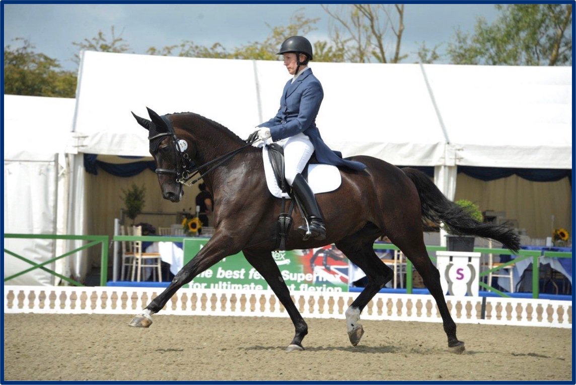 SjoholmPatience's tweet photo. I’m giving a #talk on "Finding your independent seat and an elastic contact" as part of the gala dinner at the #RetrainingofRacehorses camp at Hickstead on July 11th. Contact pboyle@ror.org.uk for more details or visit https://t.co/ScVM593xMd #ROR #RoRSouthEastCamp19 https://t.co/jy0dhxbMFg