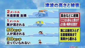 さちこ Core 津波1mってどれくらいなんだろうって改めて調べてみたけど たった1mぐらい じゃないのね T Co Mq7uhm8ipx Twitter