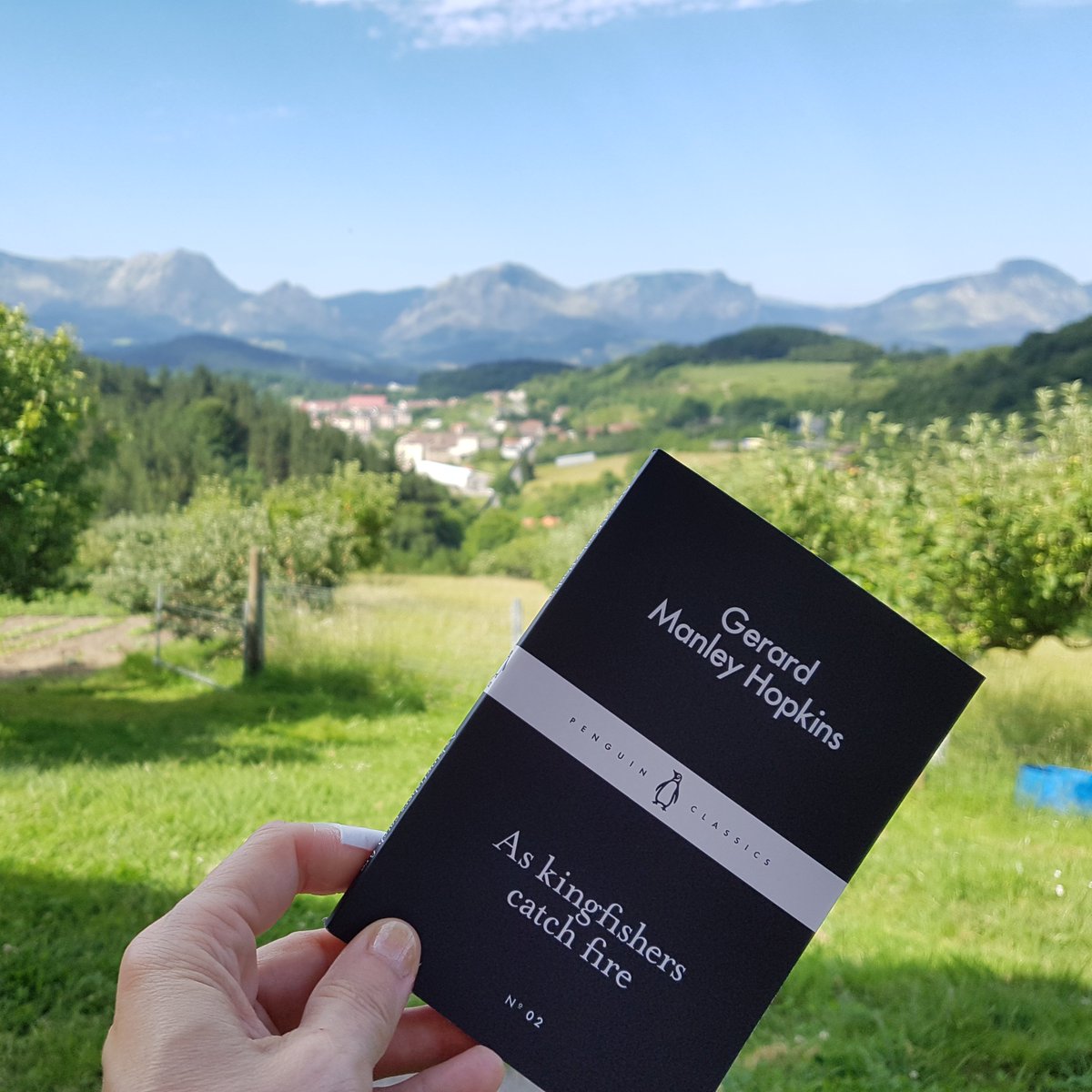 S_Wordsmith's tweet photo. This morning's inspiration for writing 'all things counter, original, spare, strange' was from Gerard Manley Hopkins. And some chickens. #readbeforeyouwrite #amwriting #BasqueCountry #Bizkaia @GM_Hopkins #piedbeauty https://t.co/5AK7PAvKpy