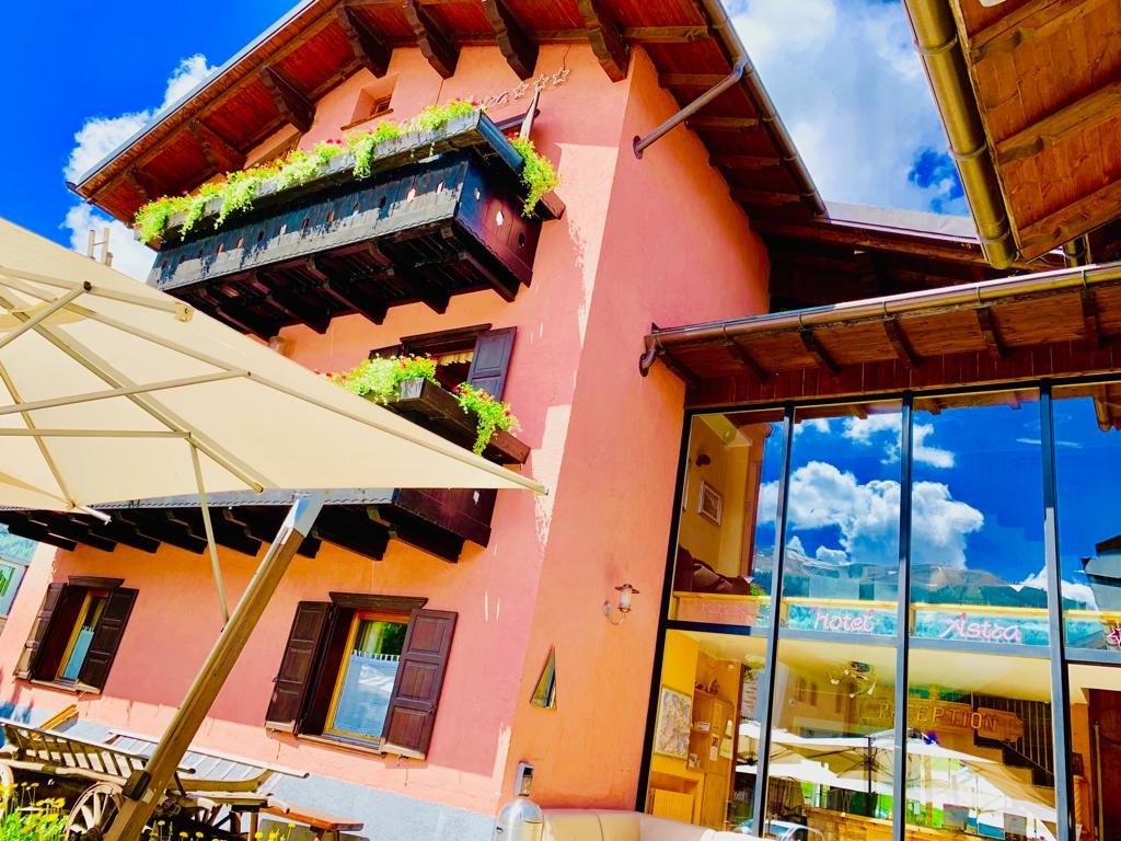 Summe vibes 🌞
#Livigno #summer #Flowers