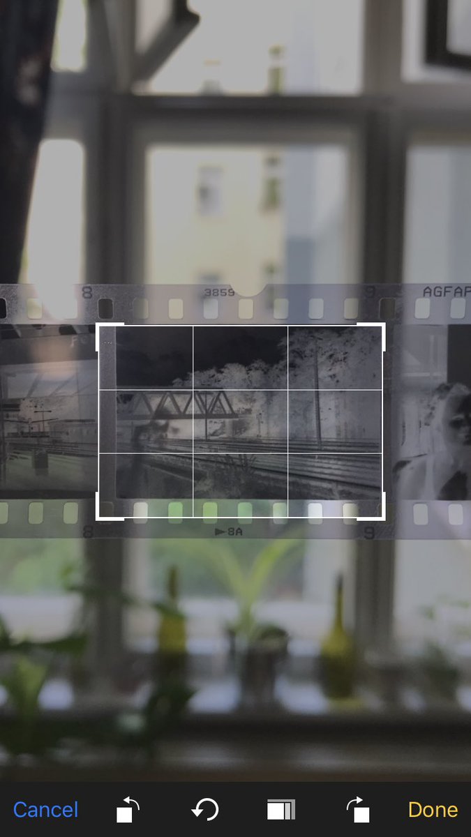 FilmDeveloper tweet picture