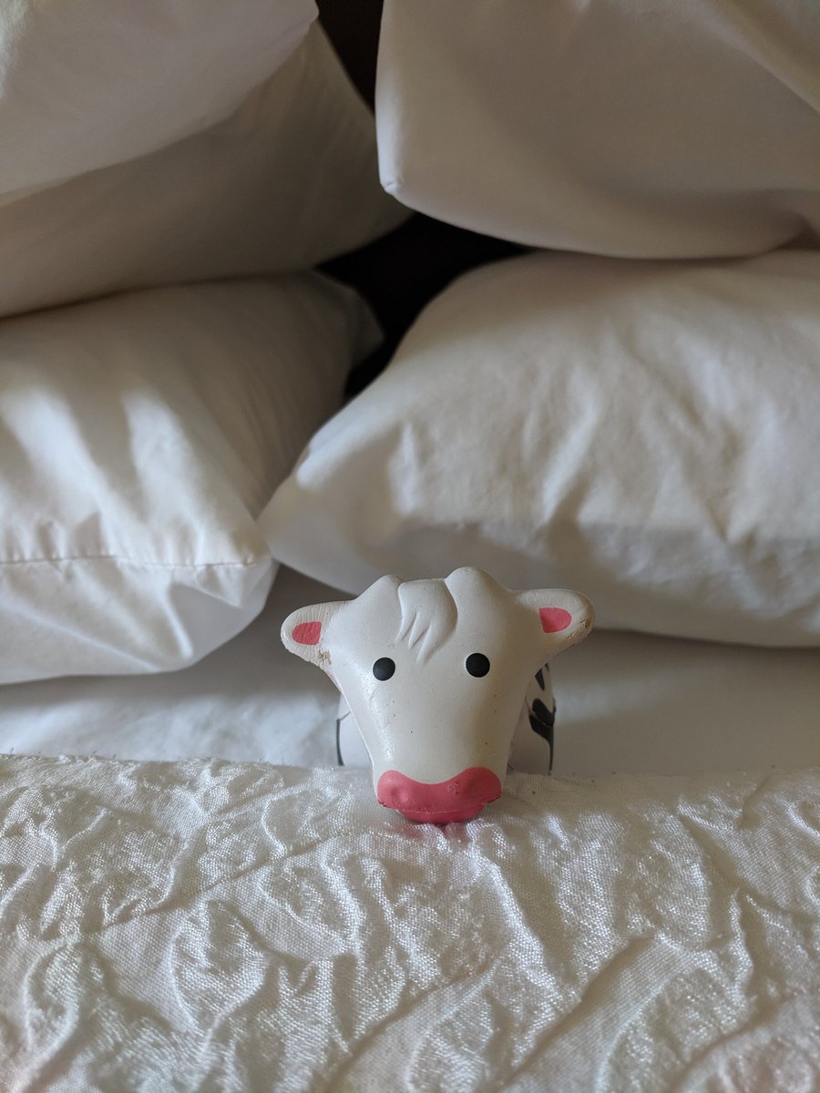 CowVt's tweet photo. Happy #Summer! This cow is wishing you a relaxing start to the summer and sending greetings from #Pittsburgh ... bring a little bit of VT to the PA area! https://t.co/pzzwJp2q9Y