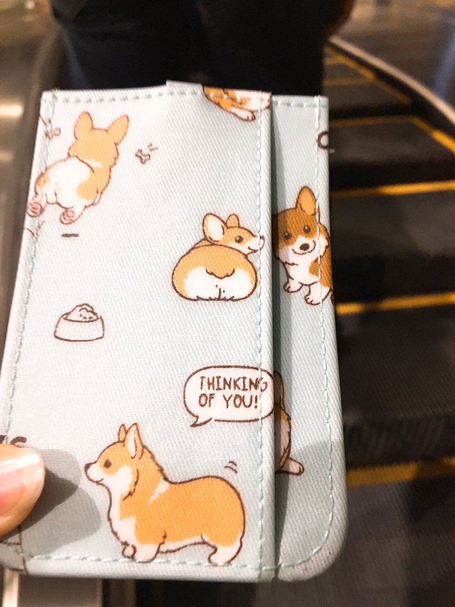 israahsu's tweet photo. Maybe we just need those cute things to make the life easier #Corgi #Doggy https://t.co/rUTanjGFHA