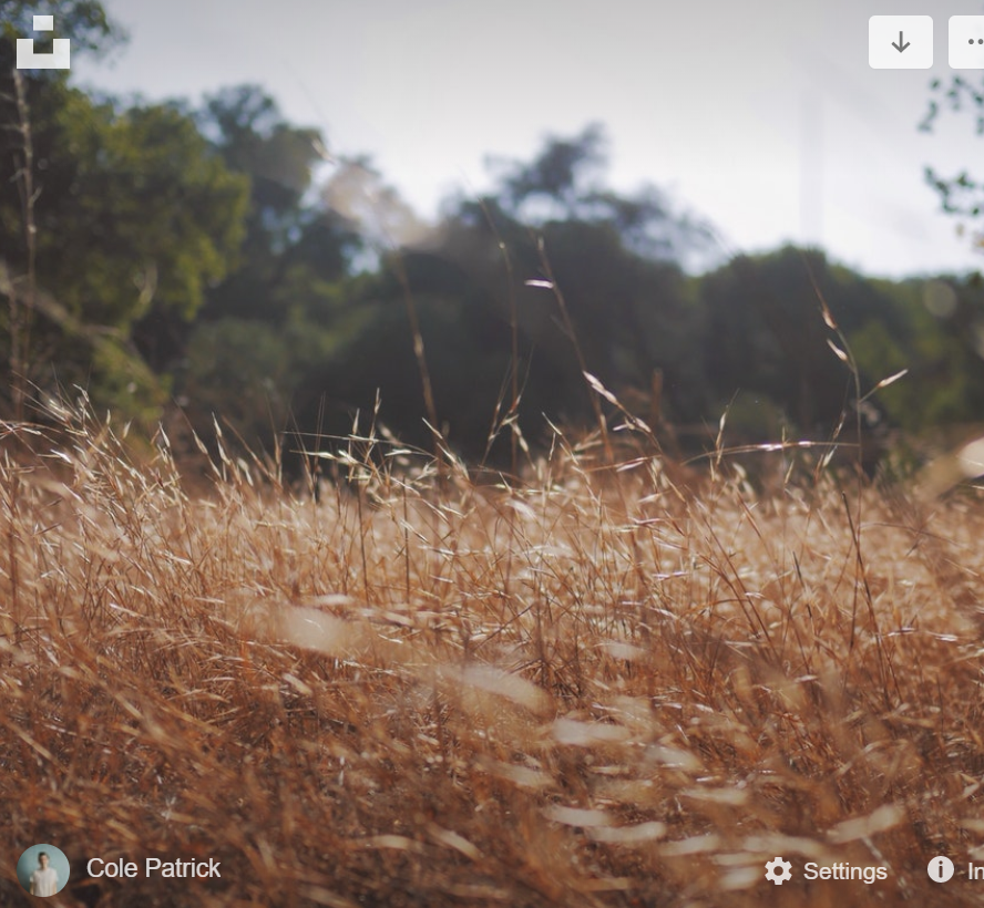 2footgiraffe's tweet image. Need images for students to practice writing investigative questions? Use the chrome extension Upspash Instant - each tab produces a new image - thanks Kim Baumann - #TDOEtraining #ngsschat #ngsschat