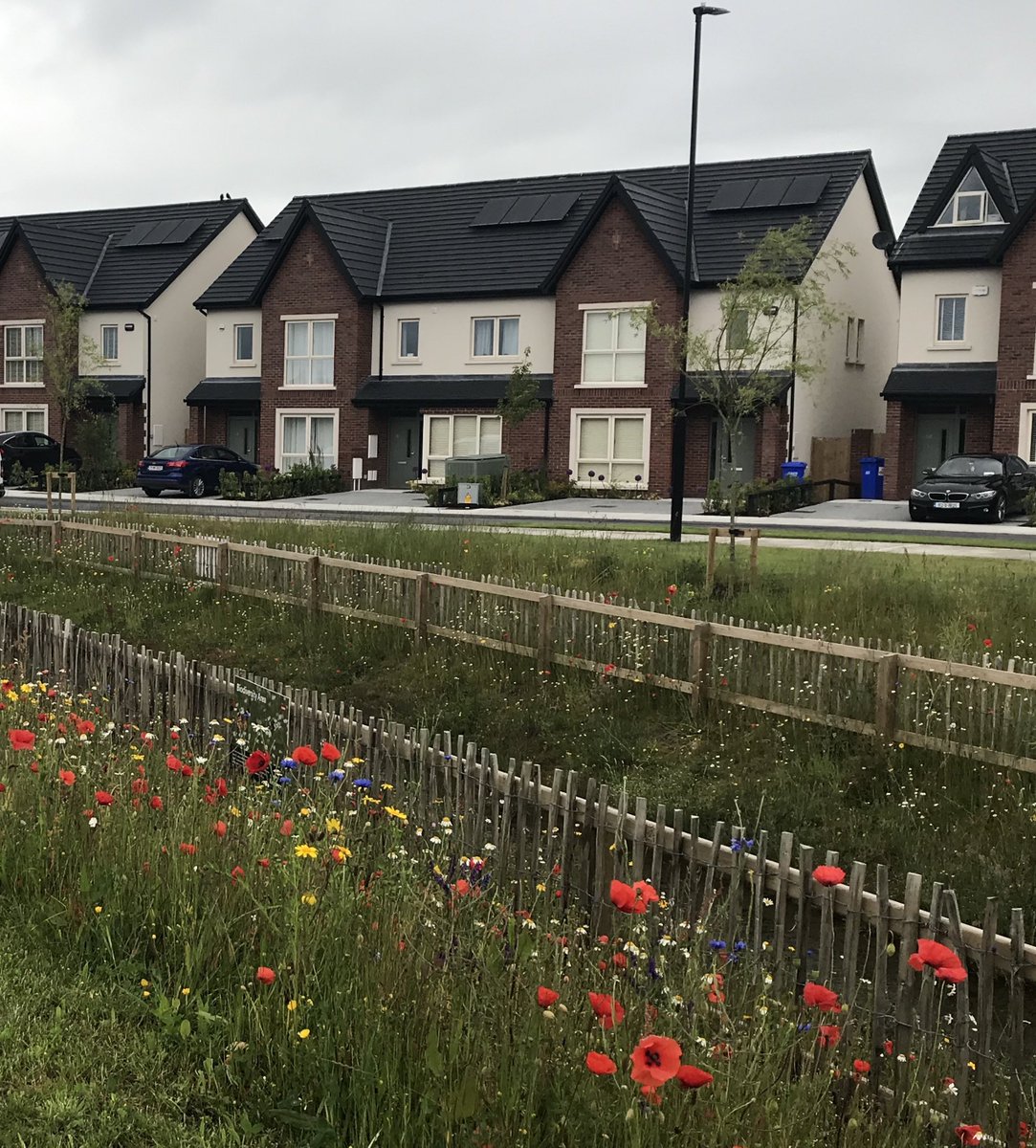CairnHomes's tweet photo. We may not be able to bring the sun to our developments, but we can bring all the colours of summer!
#CairnHomes #Elsmore #Naas #Biodiversity #WildflowerMeadow #DesignedForLiving #BuiltForLife https://t.co/DqPAAyWyJJ